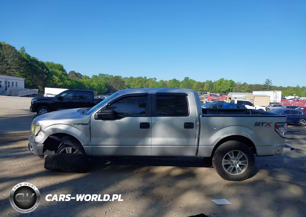 2014 Ford F-150 Stx VIN:1FTFW1EF3EFC61025 - 13