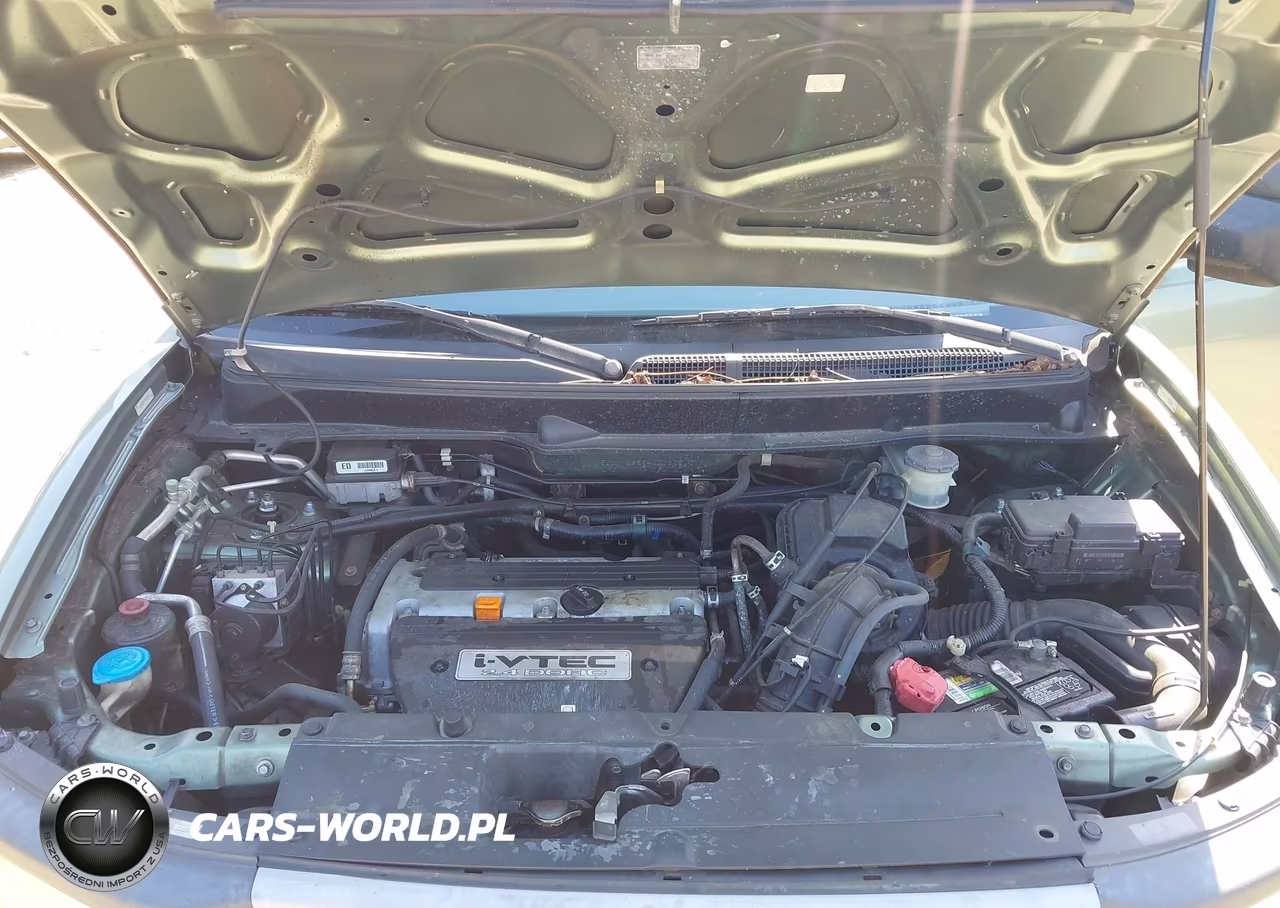 2004 Honda Element Ex VIN:5J6YH28554L003031 - 10