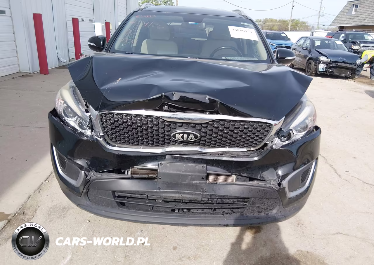 2018 Kia Sorento 3.3L Lx VIN:5XYPG4A56JG373762 - 12