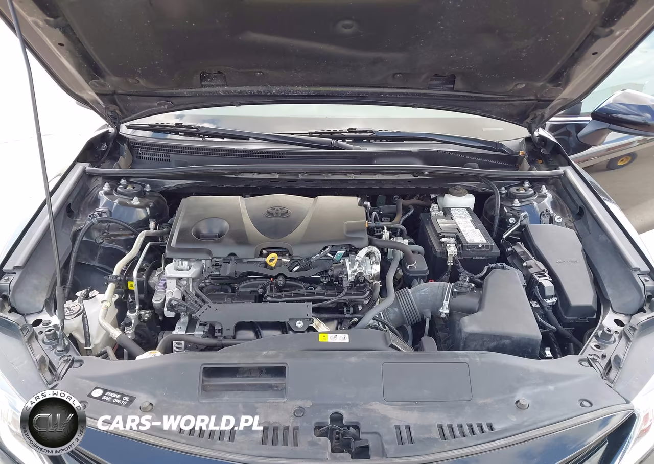 2023 Toyota Camry Le VIN:4T1C11AK3PU737210 - 10