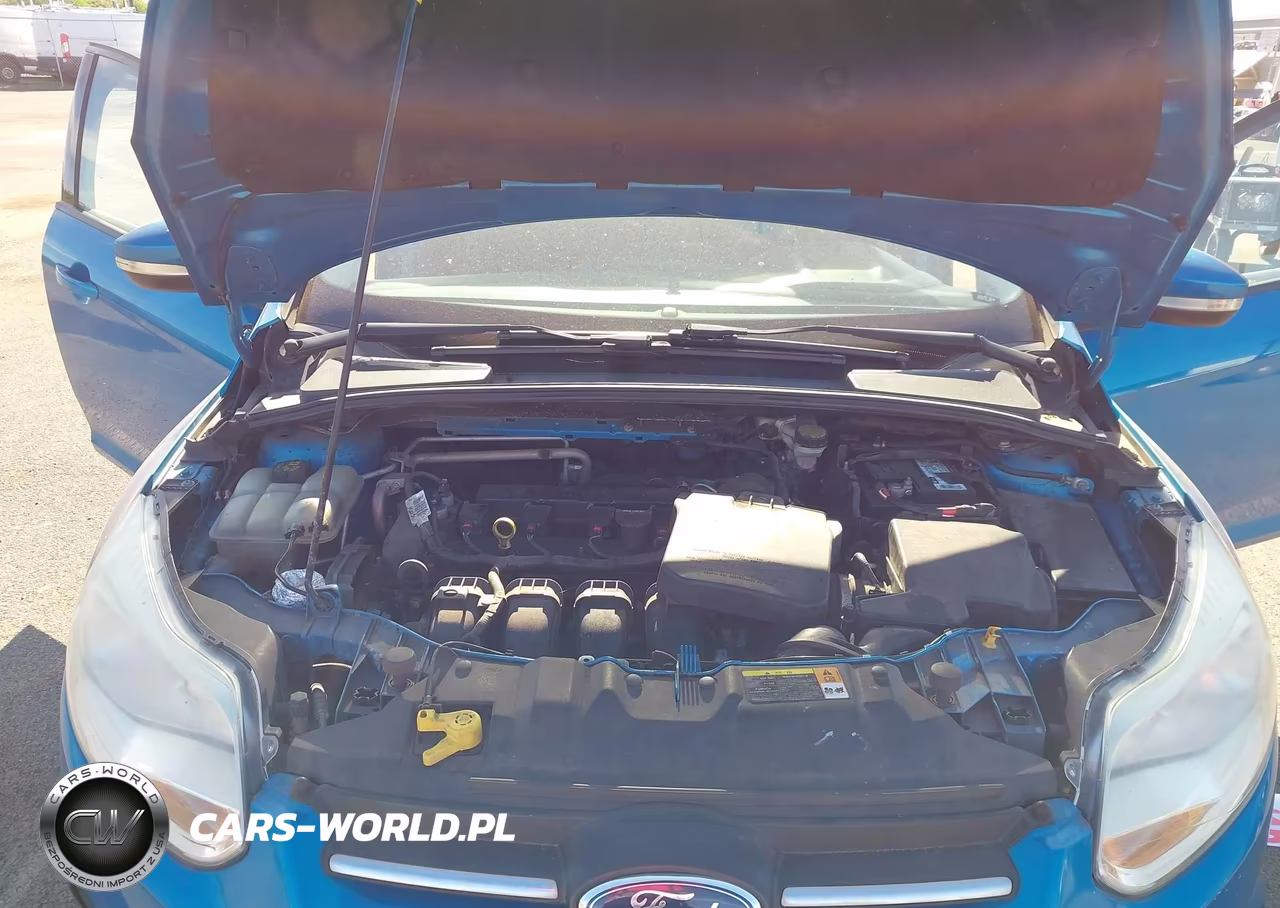 2014 Ford Focus Se VIN:1FADP3K24EL112339 - 10