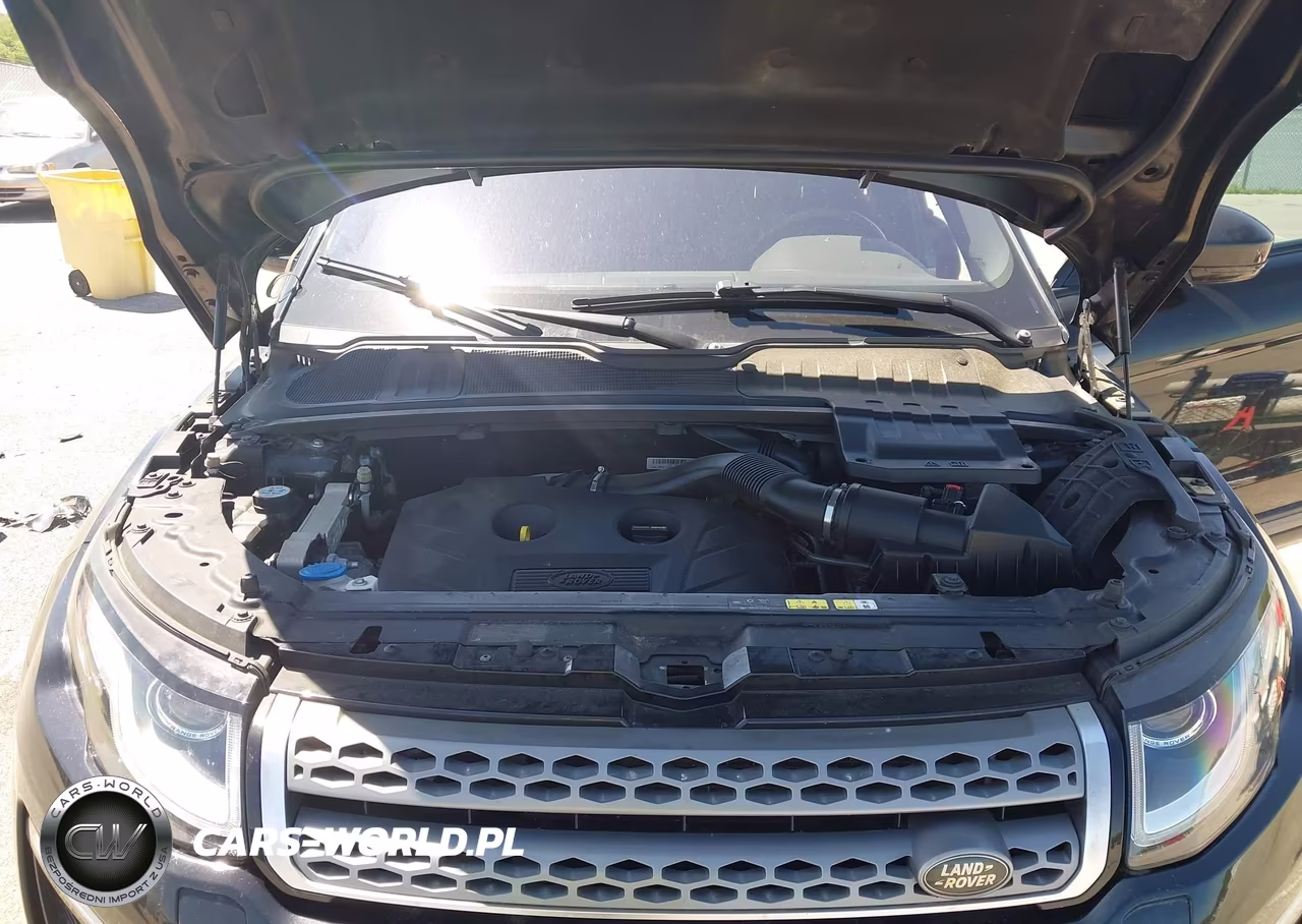 2016 Land Rover Range Rover Evoque Se-Se Premium VIN:SALVP2BGXGH145011 - 10