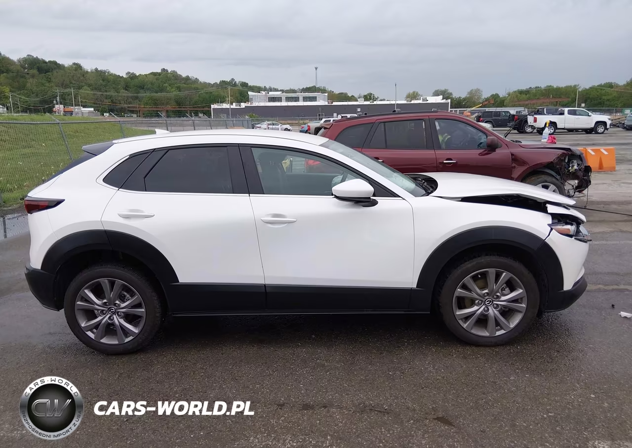 2020 Mazda Cx-30 Preferred Package VIN:3MVDMADL2LM139451 - 13