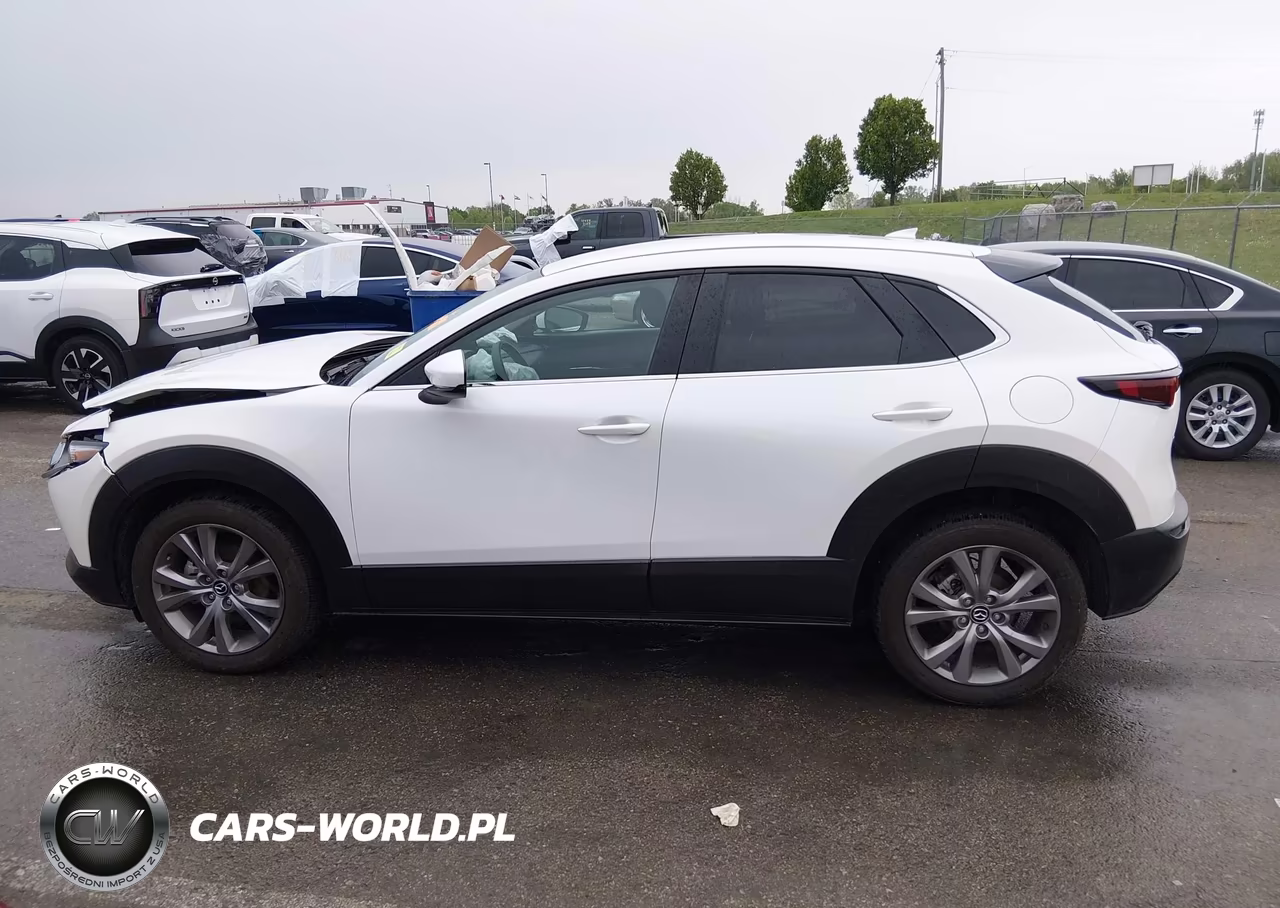2020 Mazda Cx-30 Preferred Package VIN:3MVDMADL2LM139451 - 14