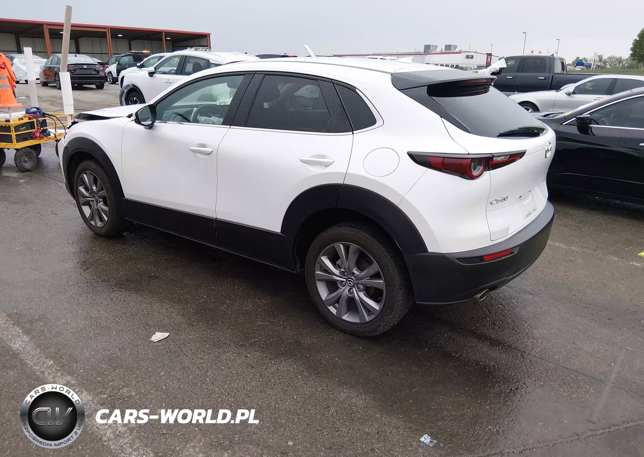 2020 Mazda Cx-30 Preferred Package VIN:3MVDMADL2LM139451 - 3