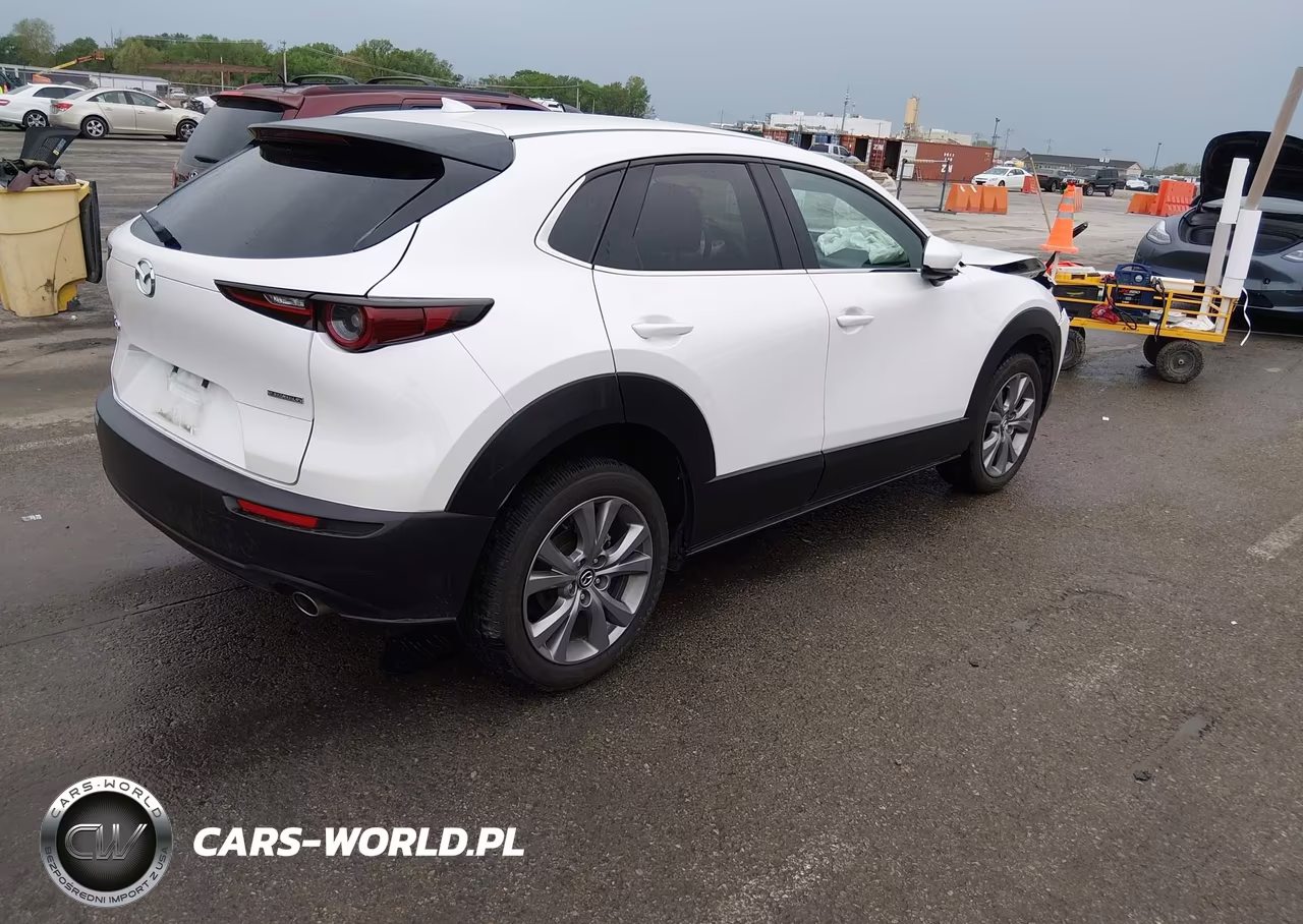 2020 Mazda Cx-30 Preferred Package VIN:3MVDMADL2LM139451 - 4