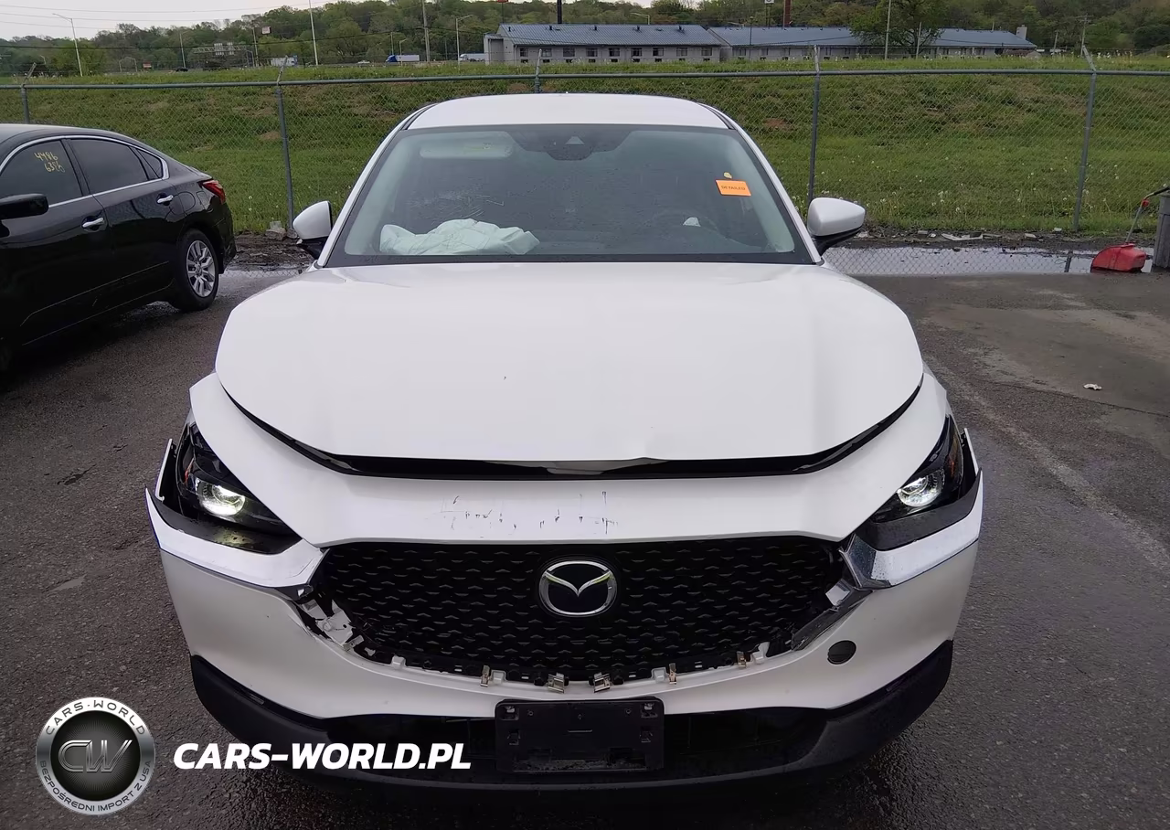 2020 Mazda Cx-30 Preferred Package VIN:3MVDMADL2LM139451 - 6