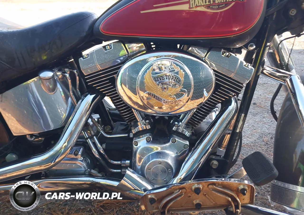 2005 Harley-Davidson Flstci VIN:1HD1BWB155Y048902 - 8