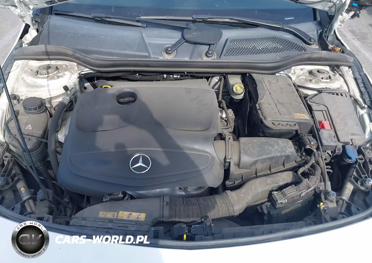 2014 Mercedes-Benz Cla 250 VIN:WDDSJ4EBXEN138779 - 10