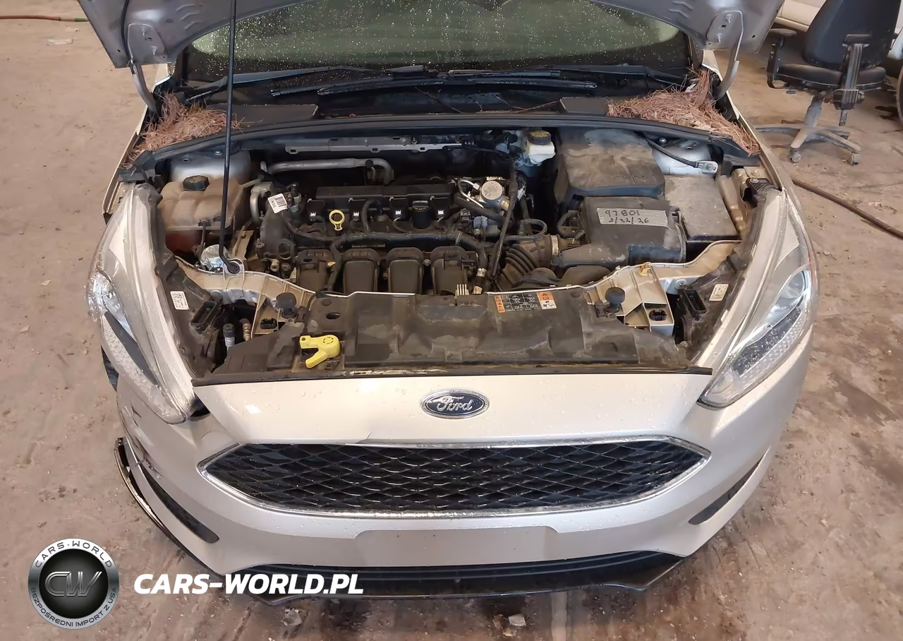 2017 Ford Focus Se VIN:1FADP3K23HL217524 - 10