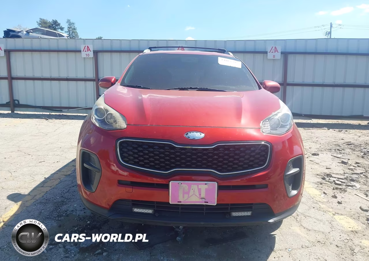 2019 Kia Sportage Lx VIN:KNDPM3AC2K7604625 - 12