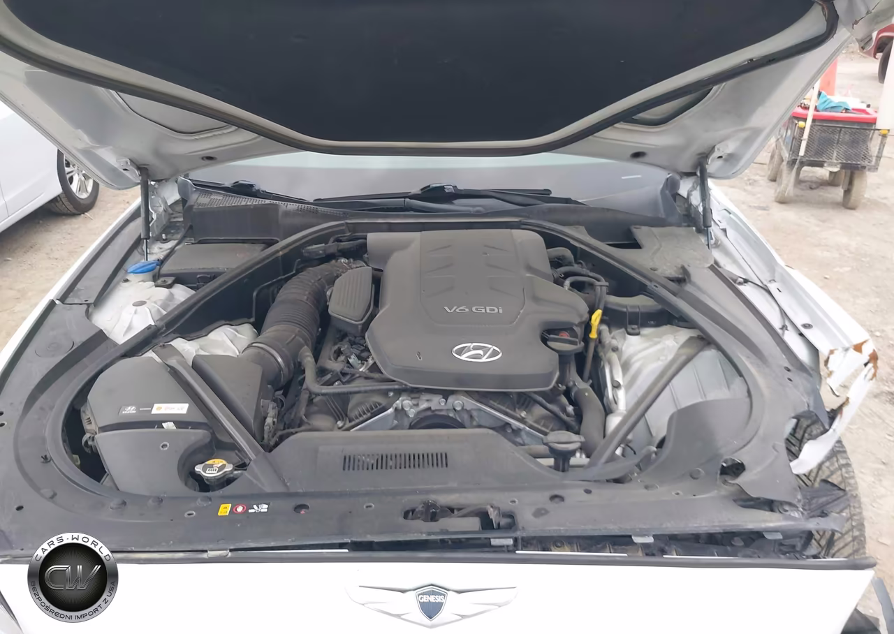 2016 Hyundai Genesis 3.8 VIN:KMHGN4JE5GU140724 - 10
