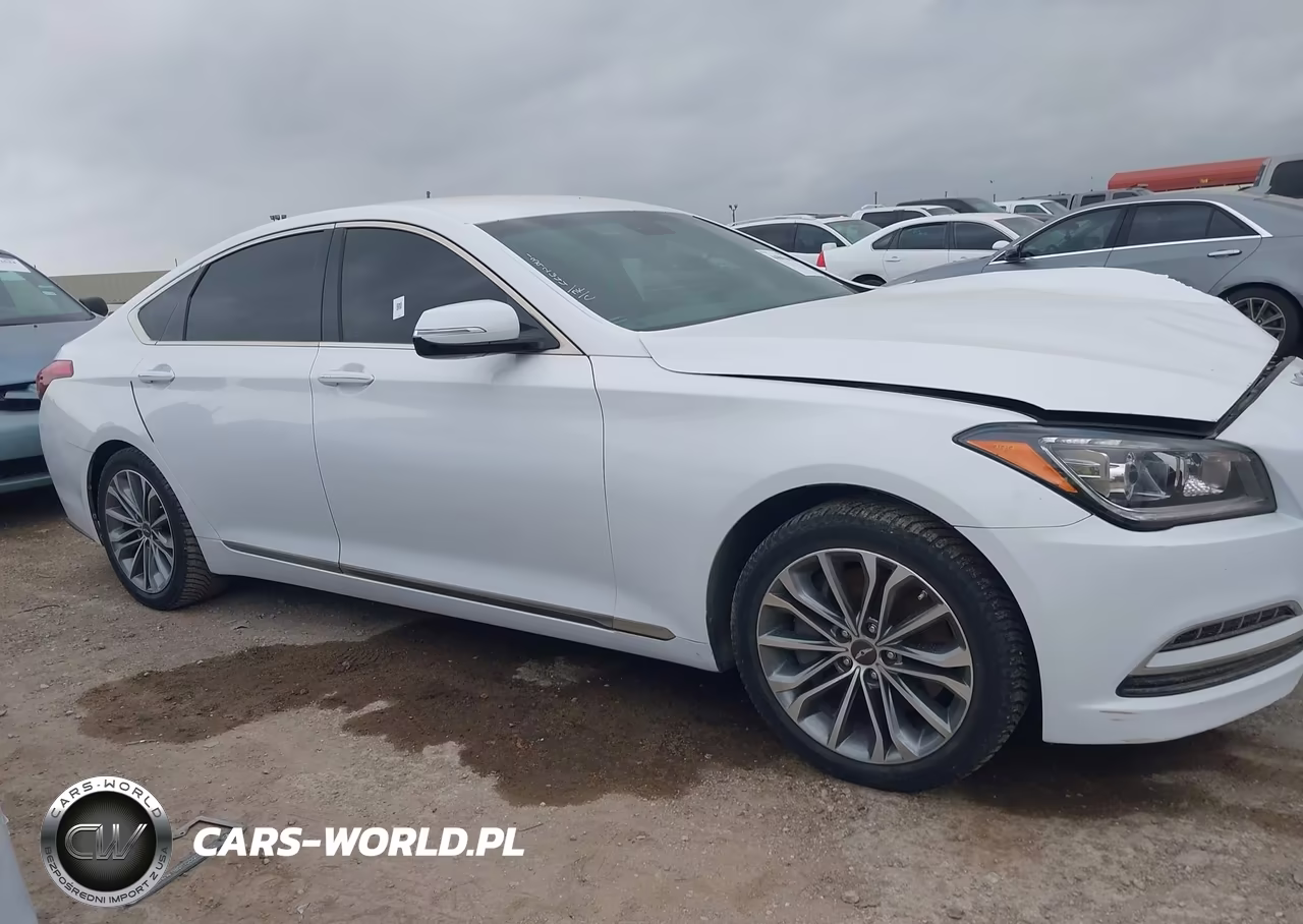 2016 Hyundai Genesis 3.8 VIN:KMHGN4JE5GU140724 - 13