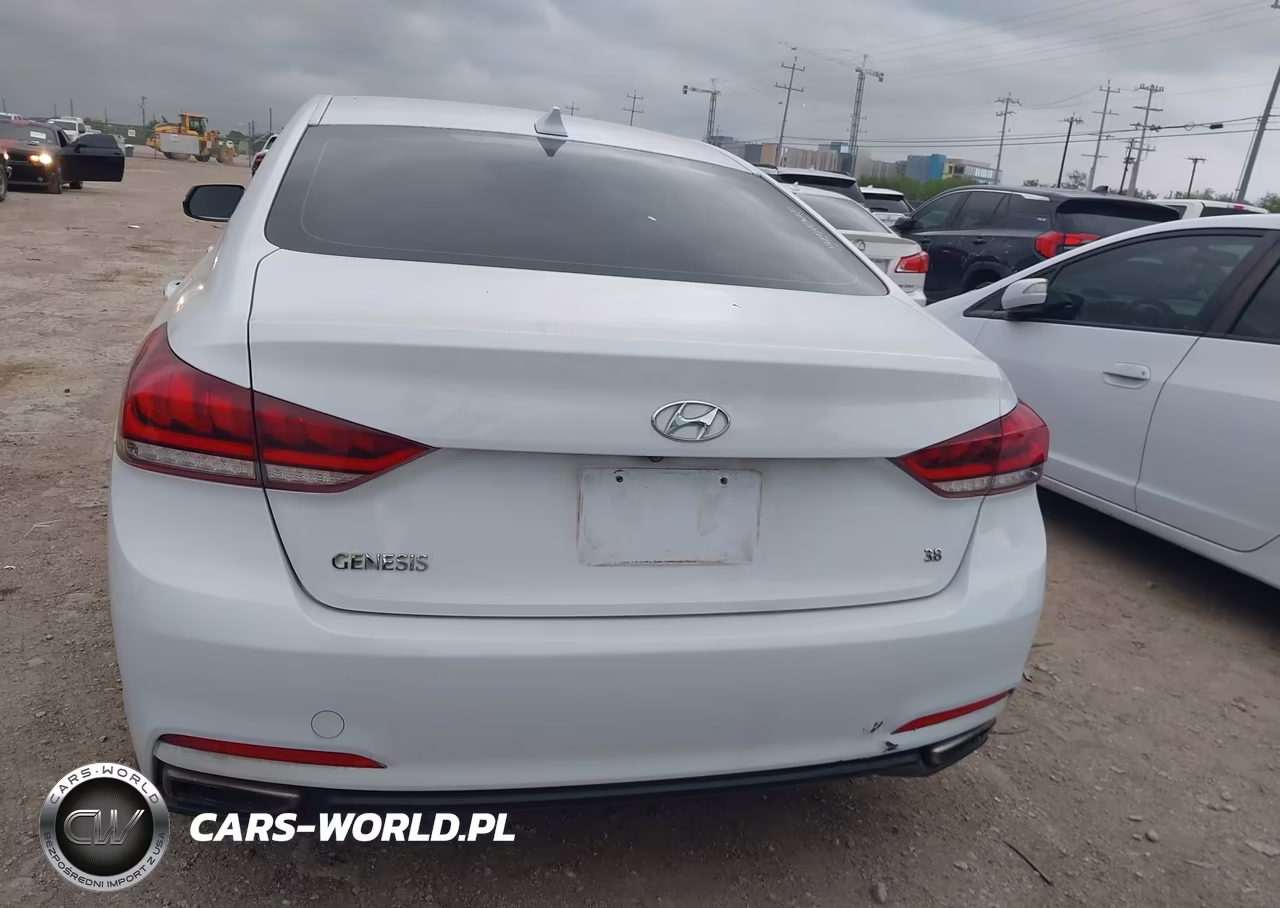 2016 Hyundai Genesis 3.8 VIN:KMHGN4JE5GU140724 - 16