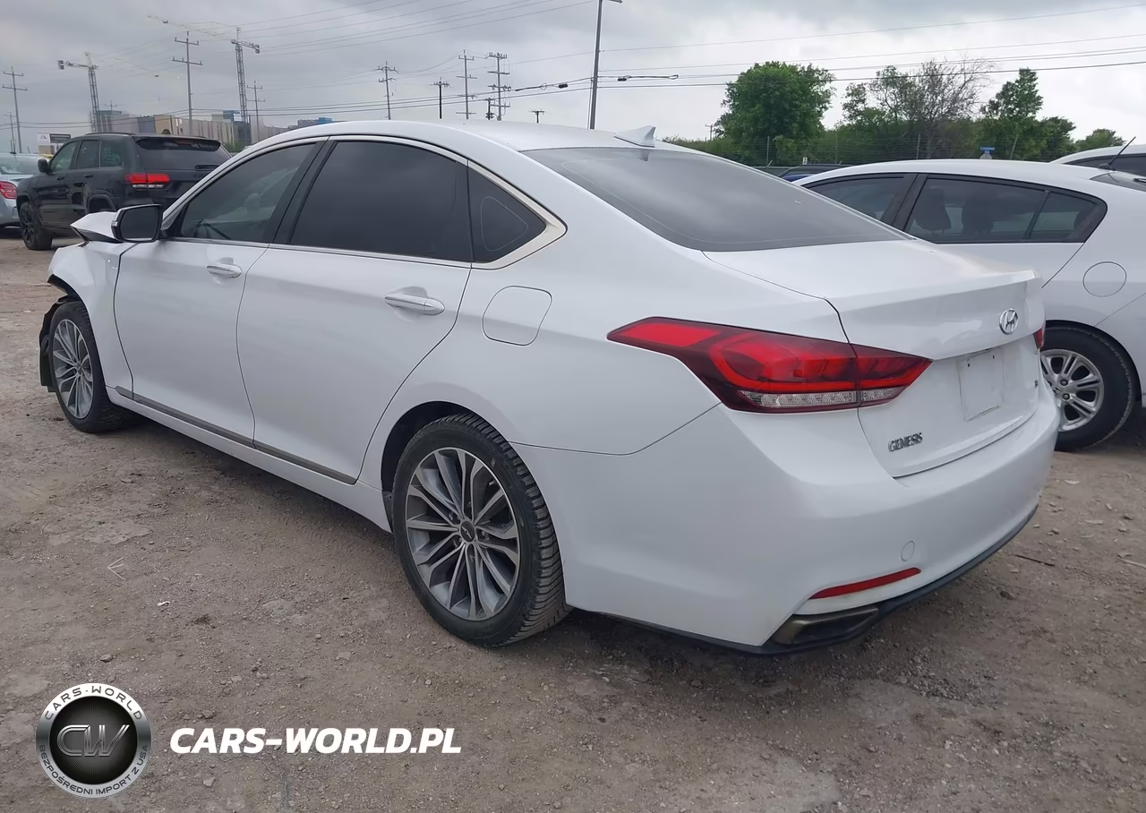 2016 Hyundai Genesis 3.8 VIN:KMHGN4JE5GU140724 - 3