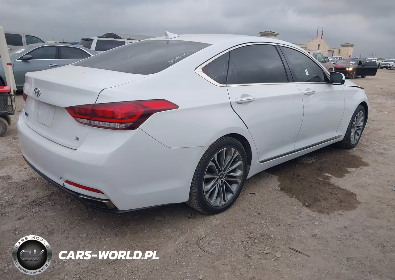 2016 Hyundai Genesis 3.8 VIN:KMHGN4JE5GU140724 - 4