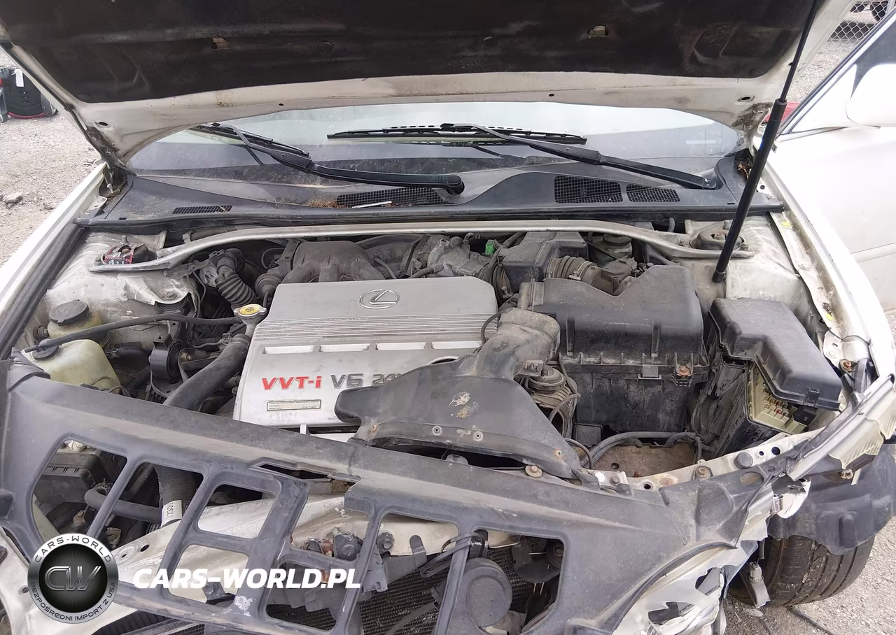 2002 Lexus Es 300 VIN:JTHBF30G325012962 - 10