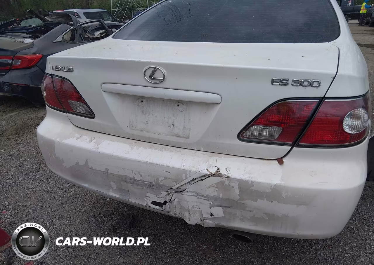 2002 Lexus Es 300 VIN:JTHBF30G325012962 - 19