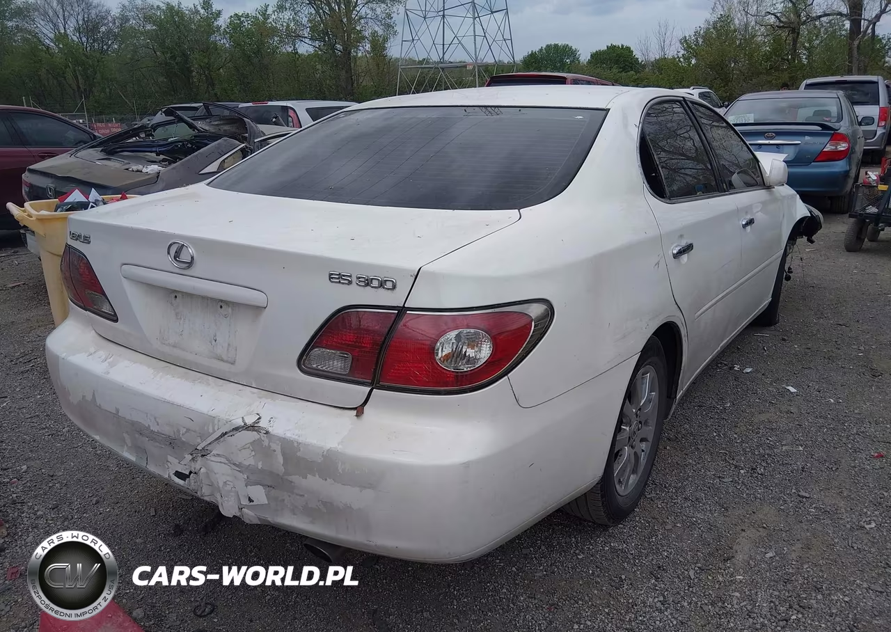 2002 Lexus Es 300 VIN:JTHBF30G325012962 - 4