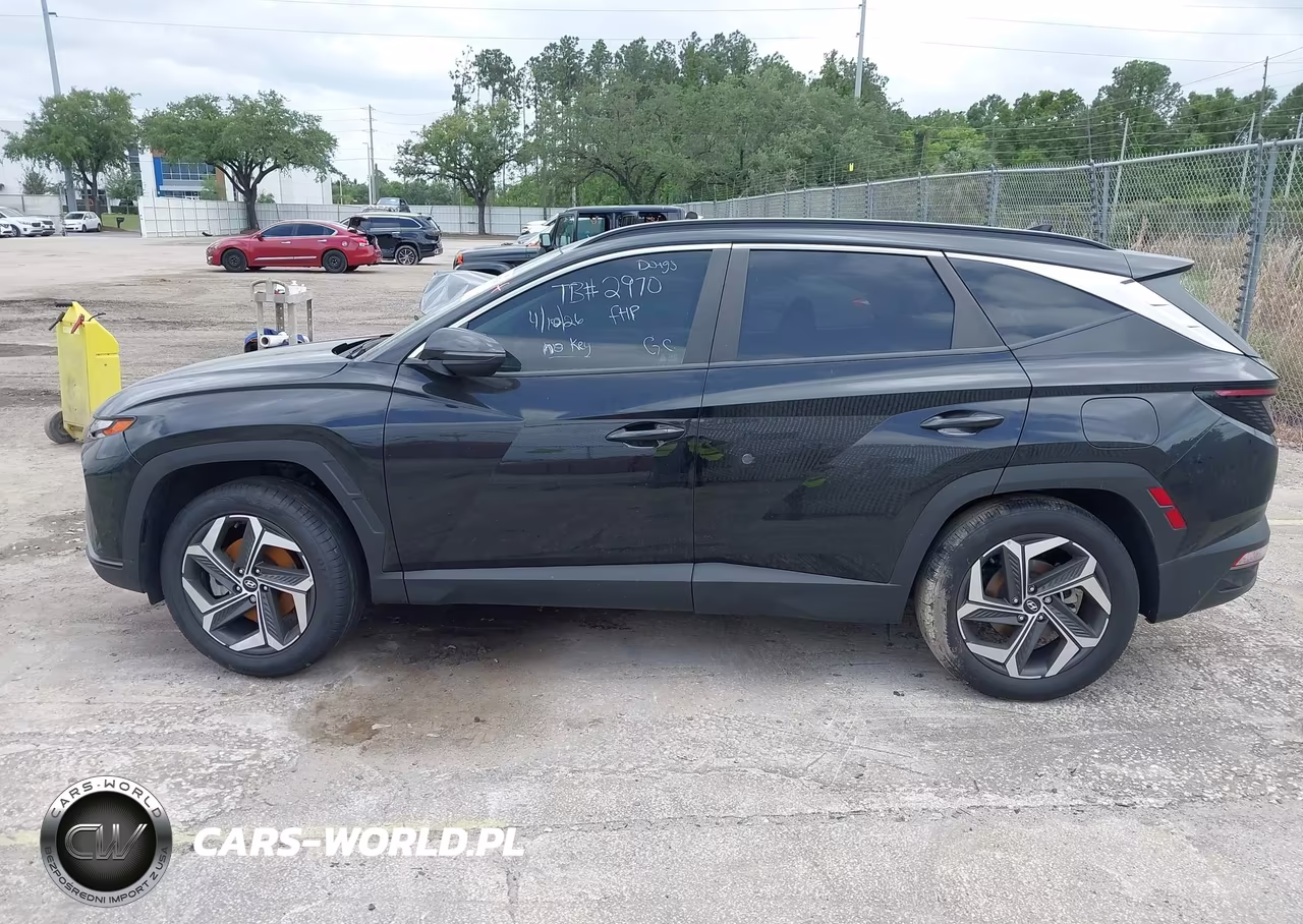 2024 Hyundai Tucson Sel VIN:5NMJF3DE8RH375089 - 13