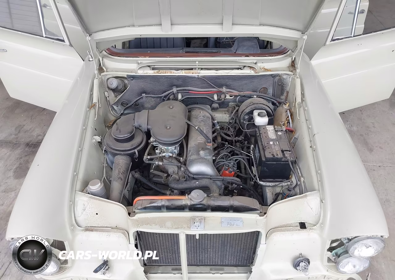1967 Mercedes-Benz 230S VIN:12101816 - 10