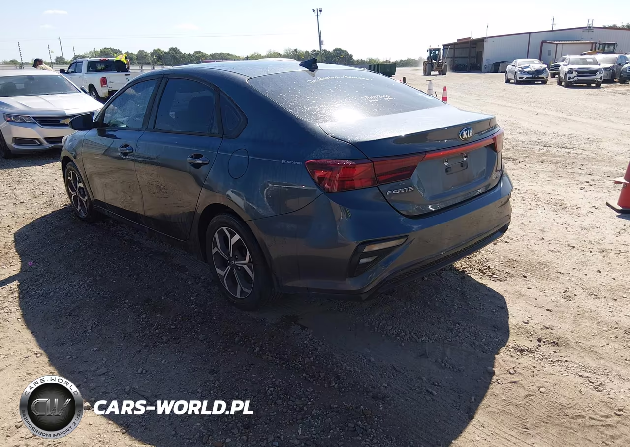 2019 Kia Forte Lxs VIN:3KPF24AD9KE007777 - 3