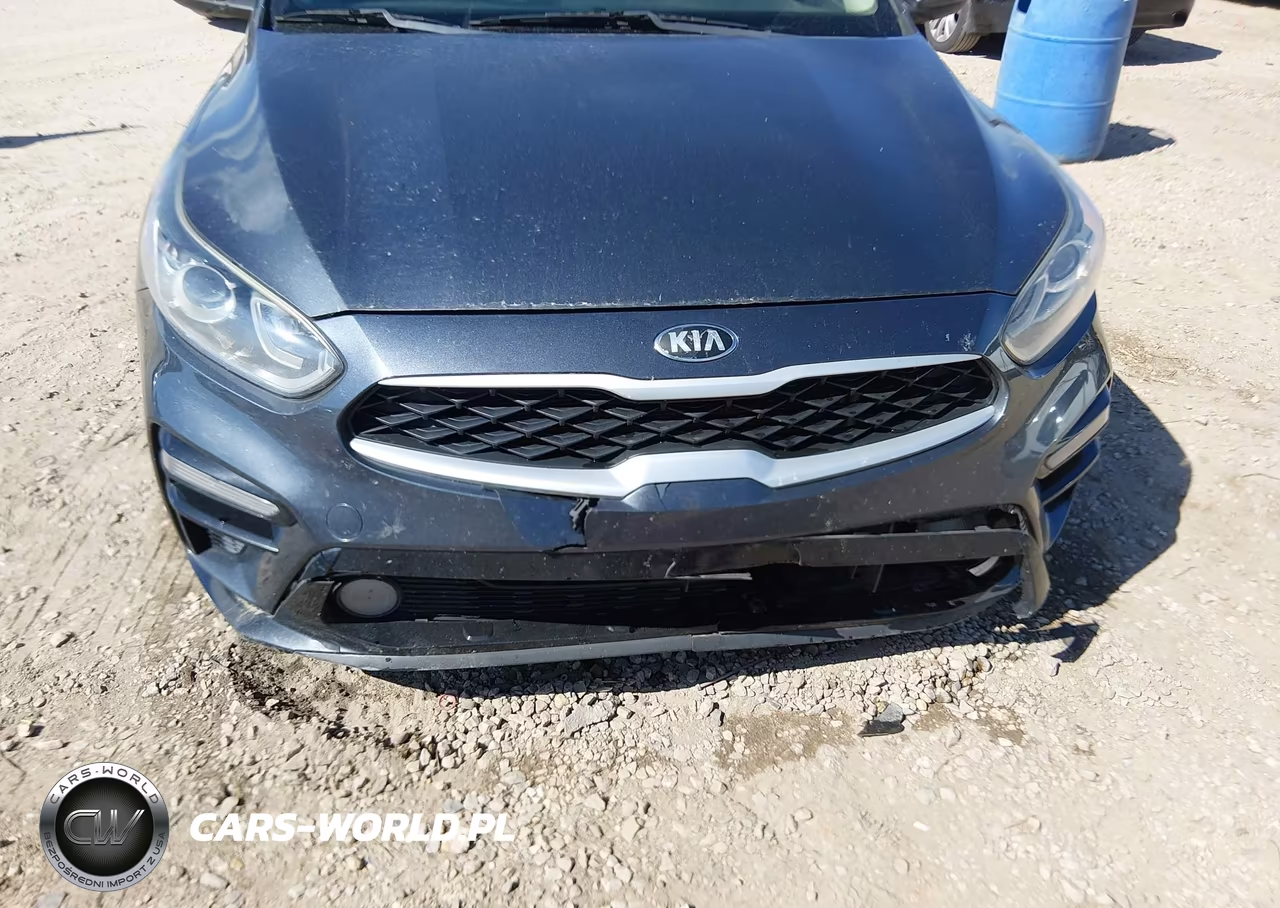 2019 Kia Forte Lxs VIN:3KPF24AD9KE007777 - 6