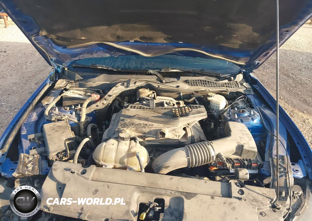 2017 Ford Mustang Ecoboost VIN:1FA6P8TH6H5203159 - 10