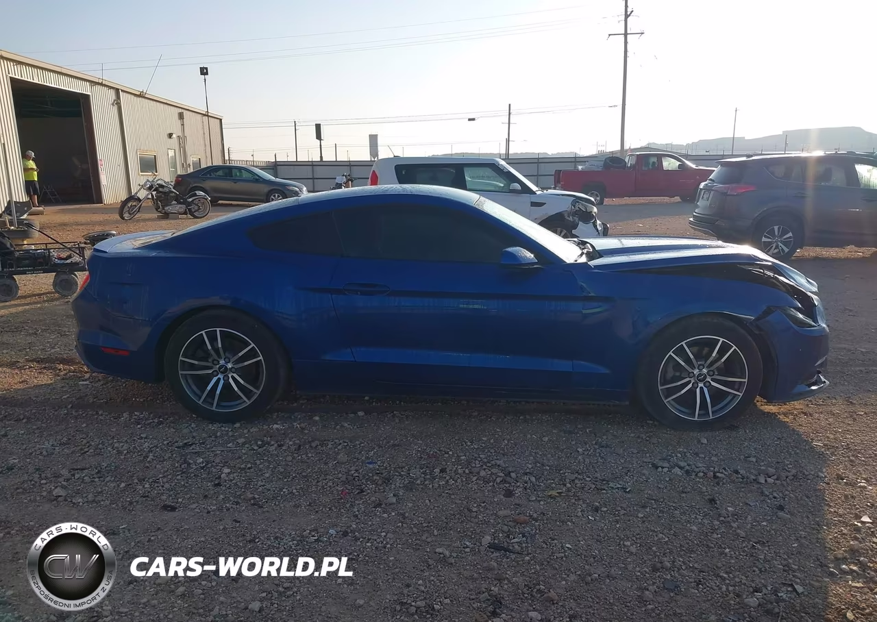 2017 Ford Mustang Ecoboost VIN:1FA6P8TH6H5203159 - 13
