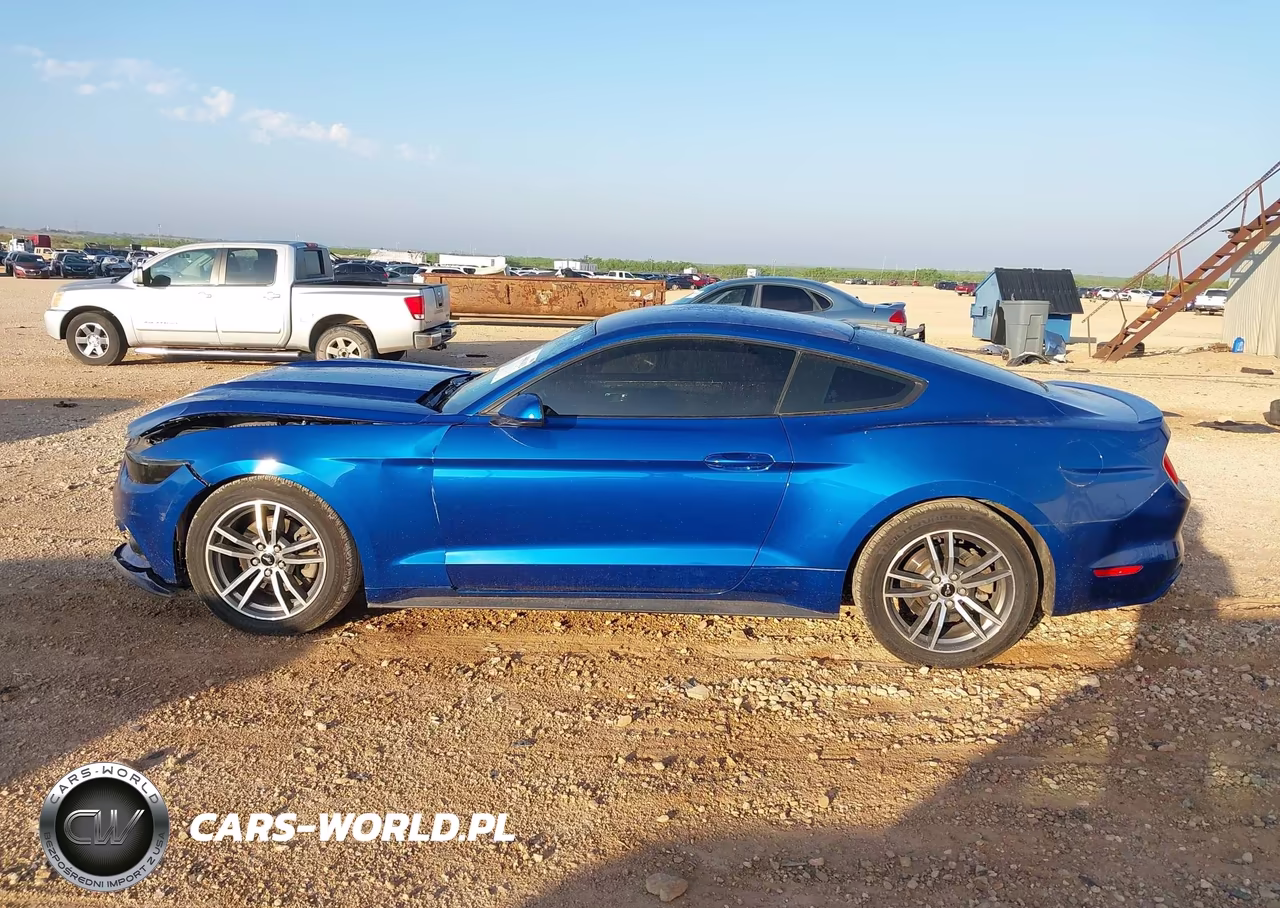 2017 Ford Mustang Ecoboost VIN:1FA6P8TH6H5203159 - 14