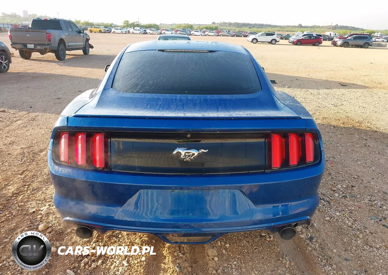 2017 Ford Mustang Ecoboost VIN:1FA6P8TH6H5203159 - 16