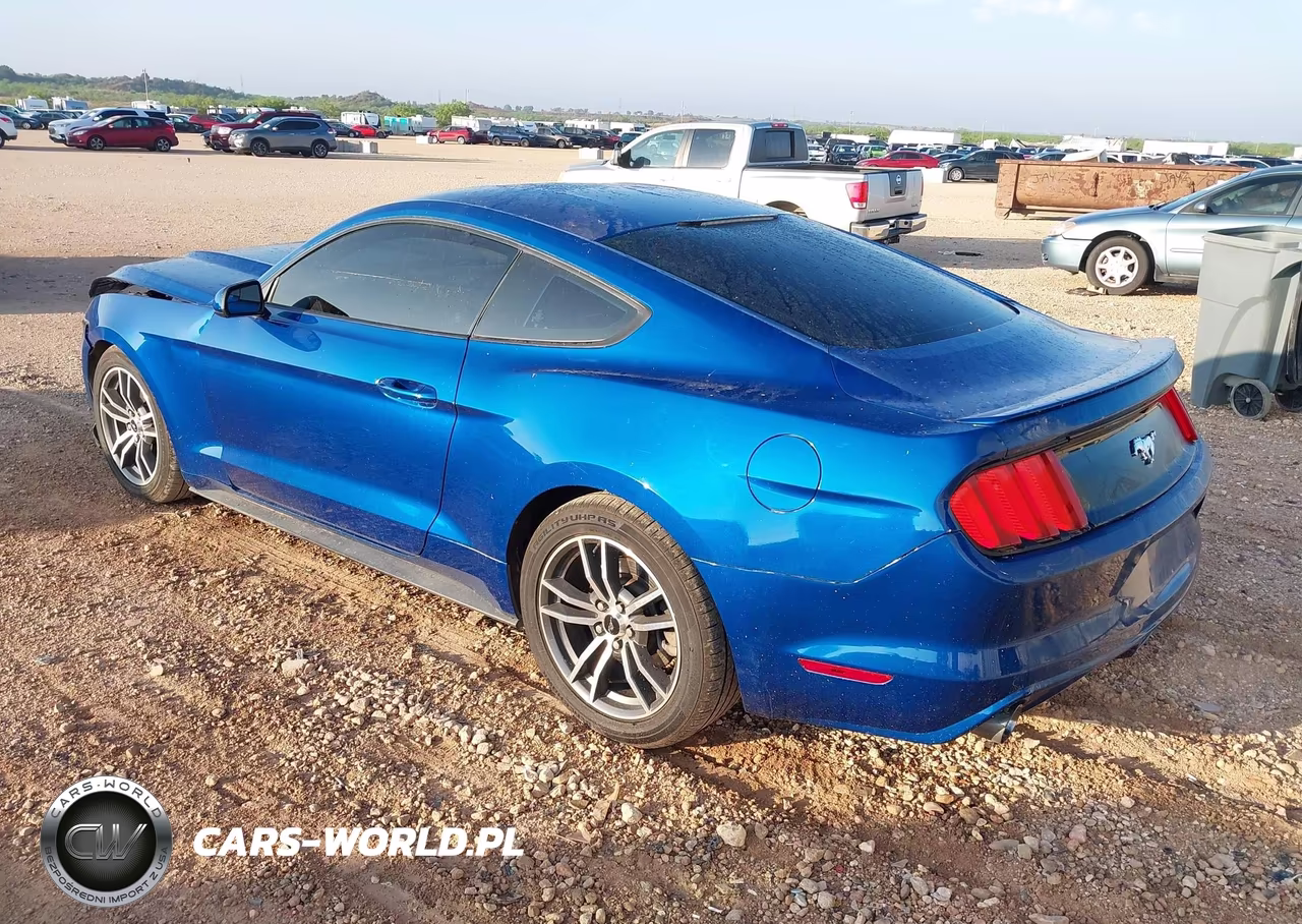 2017 Ford Mustang Ecoboost VIN:1FA6P8TH6H5203159 - 3