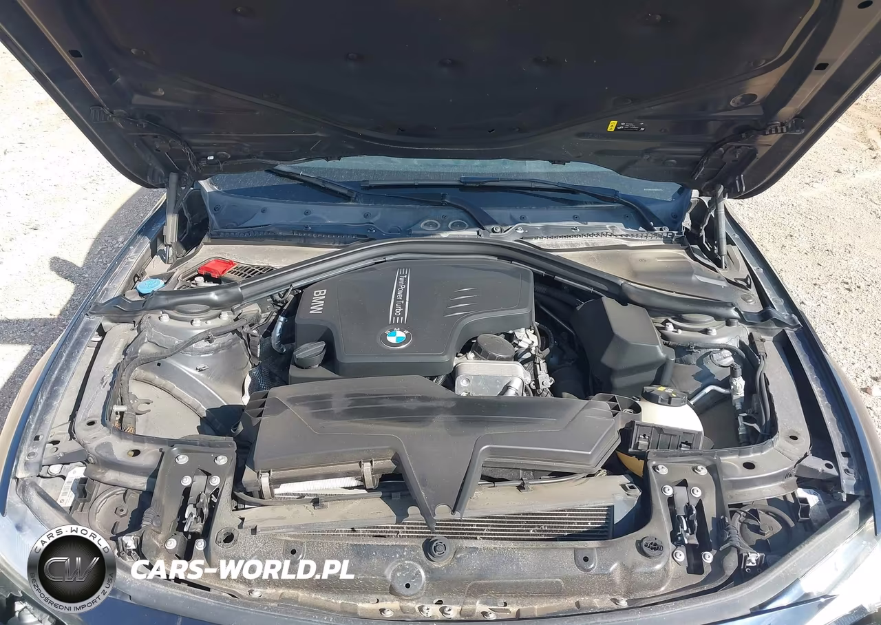 2017 BMW 320I VIN:WBA8E1G51HNU13388 - 10