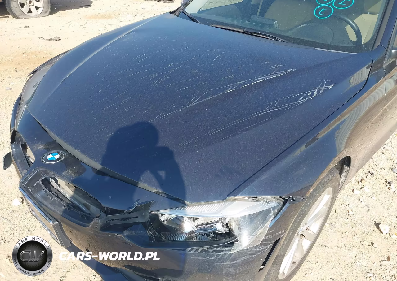 2017 BMW 320I VIN:WBA8E1G51HNU13388 - 17