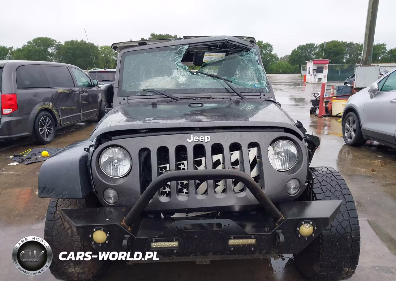 2018 Jeep Wrangler Jk Sport S 4X4 VIN:1C4AJWAG9JL824336 - 12