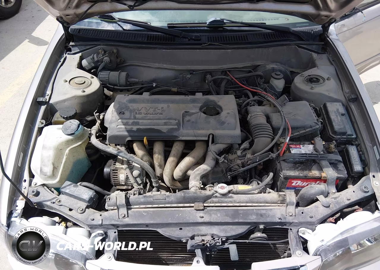 2002 Toyota Corolla Le VIN:1NXBR12E82Z647928 - 10
