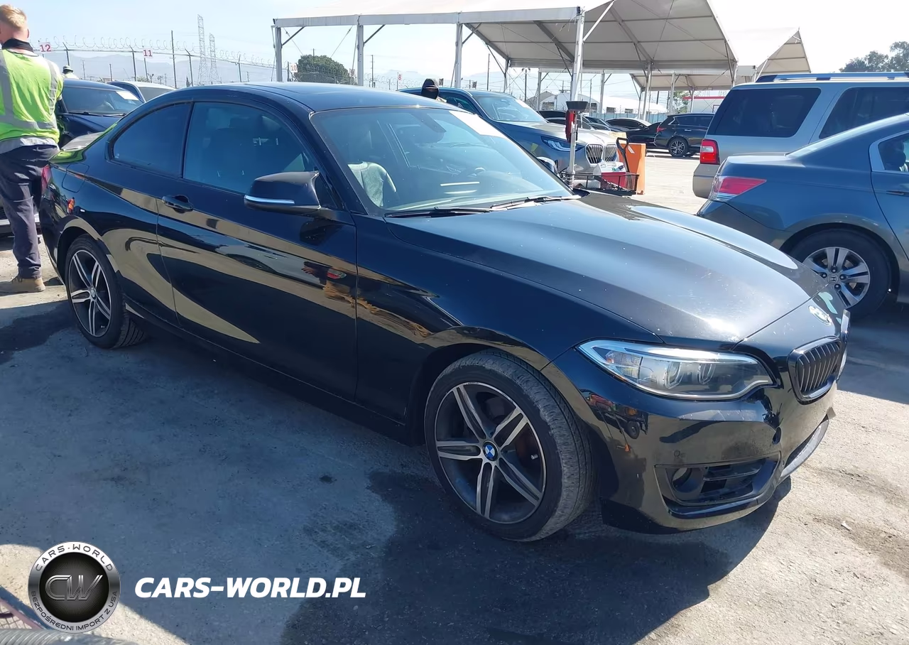 2017 BMW 230I