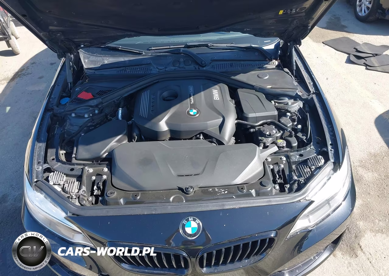 2017 BMW 230I VIN:WBA2F9C36HV983893 - 10