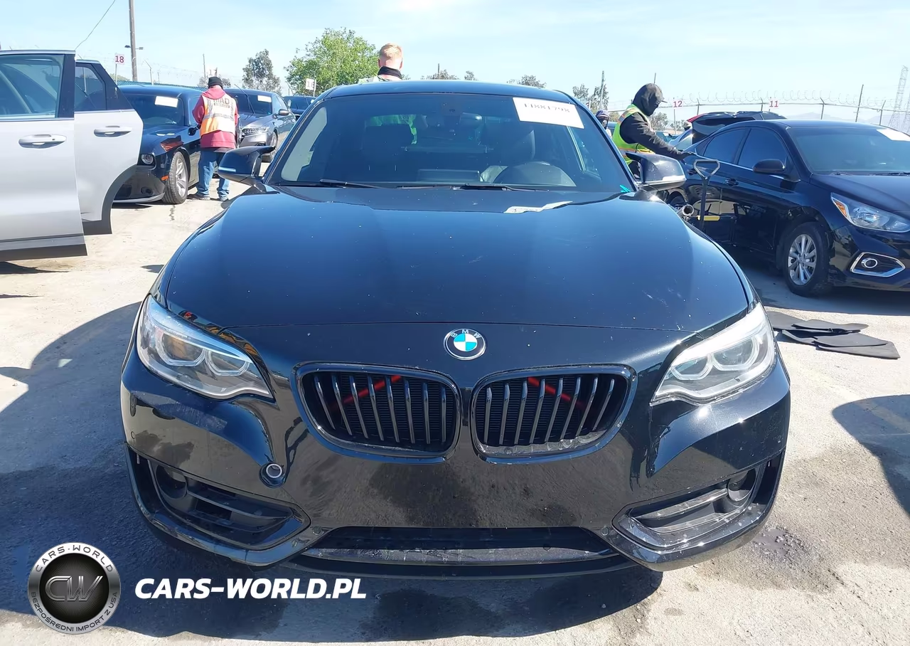 2017 BMW 230I VIN:WBA2F9C36HV983893 - 12
