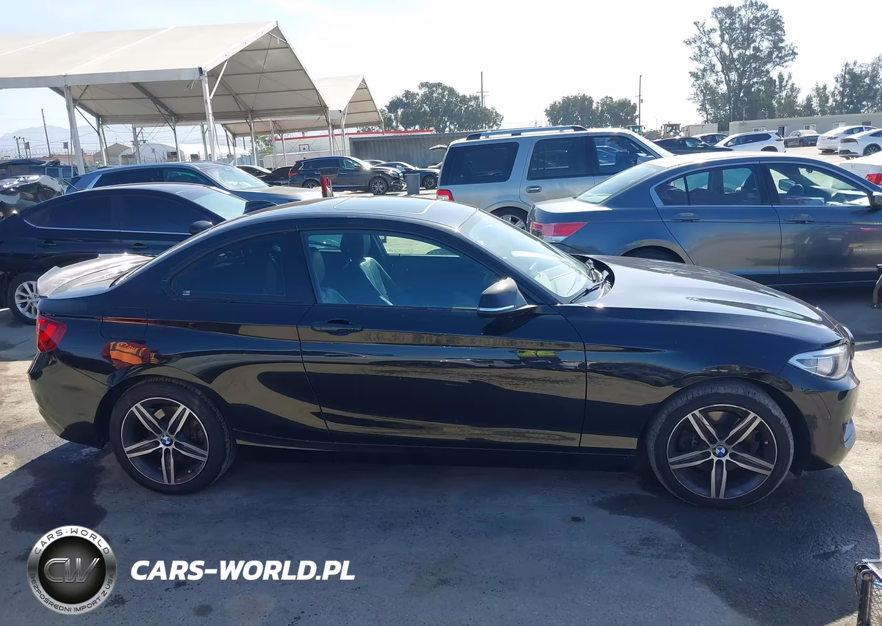 2017 BMW 230I VIN:WBA2F9C36HV983893 - 13