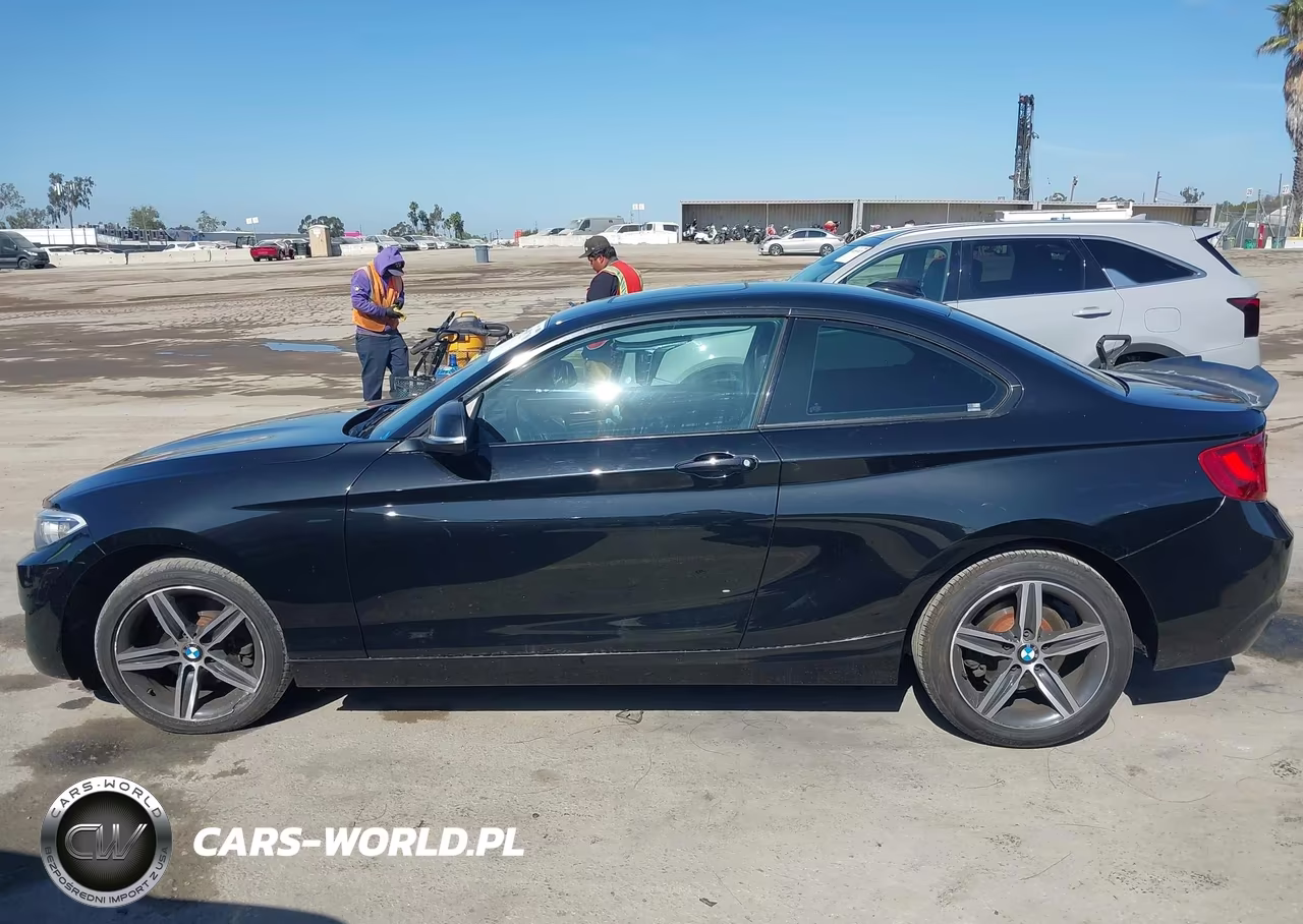 2017 BMW 230I VIN:WBA2F9C36HV983893 - 14
