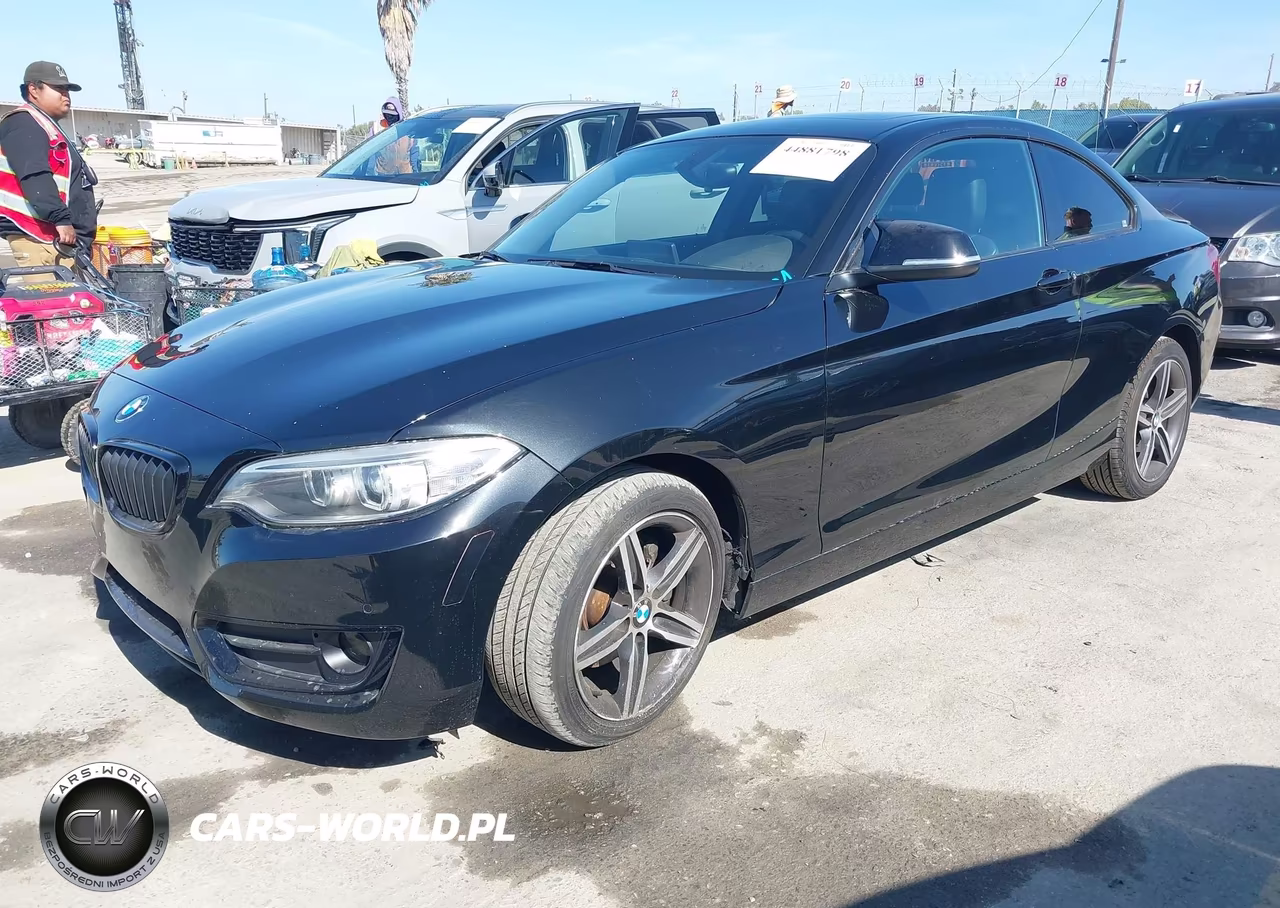 2017 BMW 230I VIN:WBA2F9C36HV983893 - 2