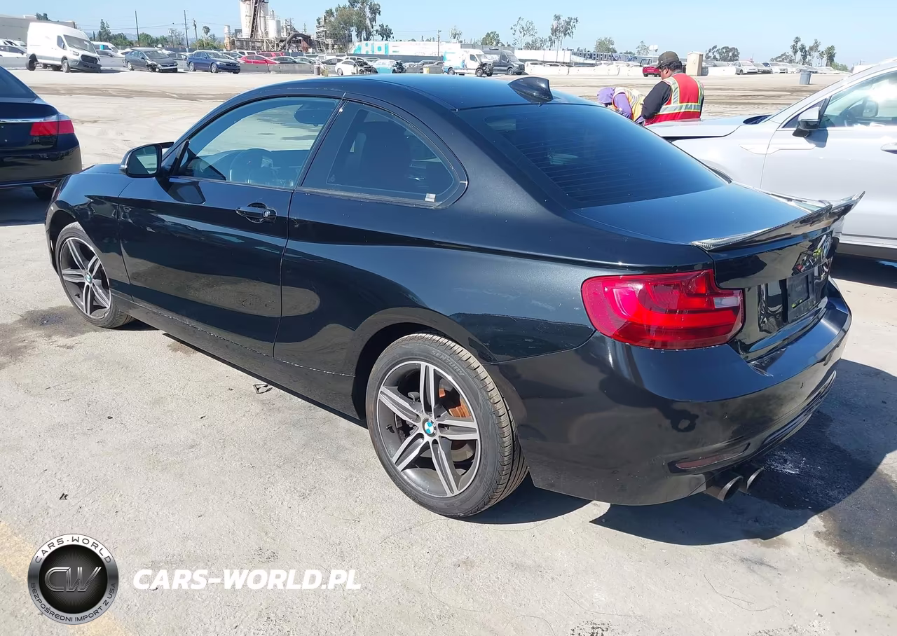 2017 BMW 230I VIN:WBA2F9C36HV983893 - 3