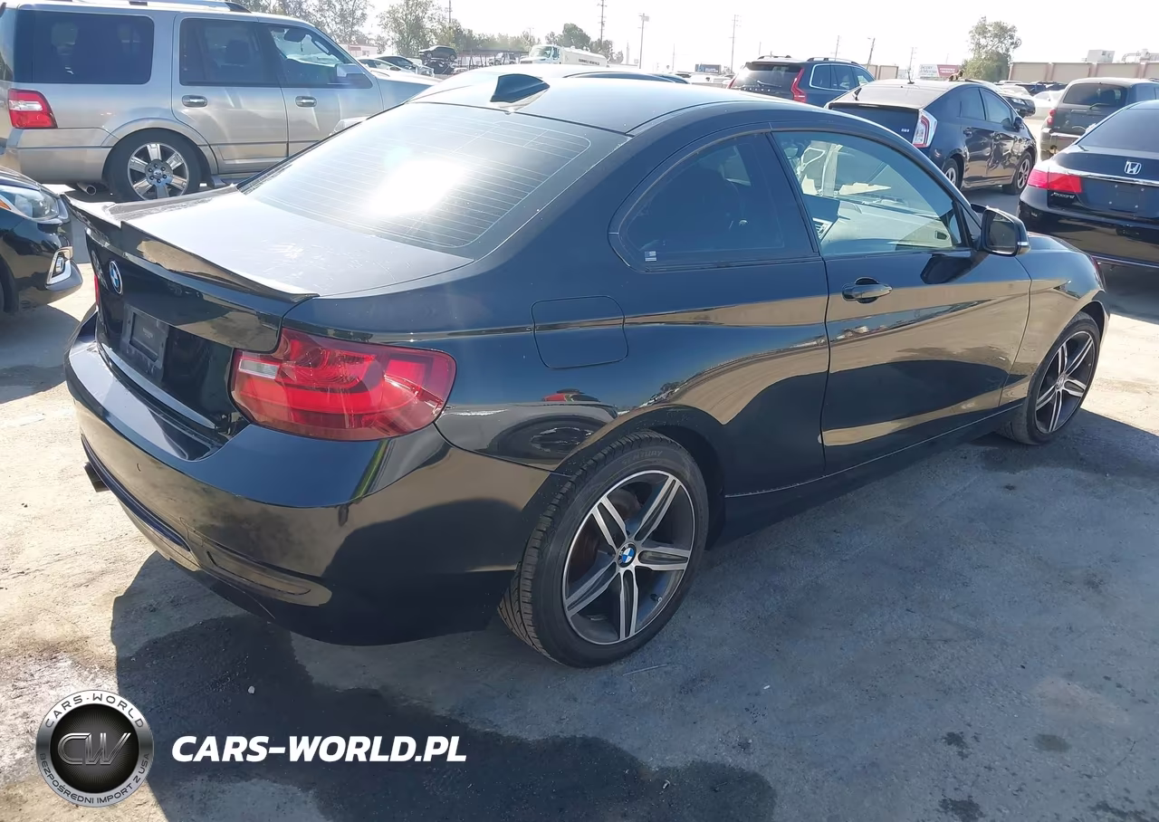 2017 BMW 230I VIN:WBA2F9C36HV983893 - 4