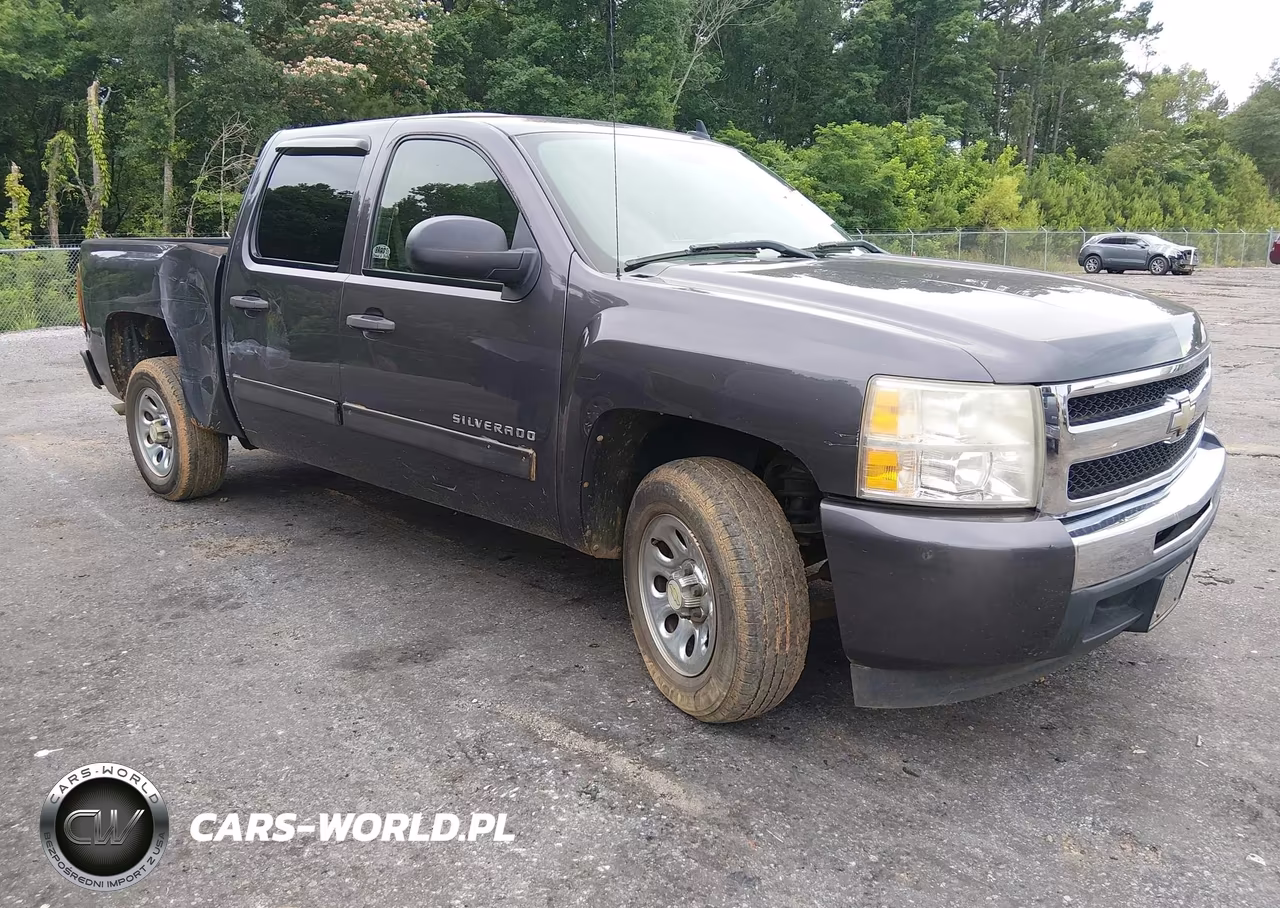2010 Chevrolet Silverado 1500 Ls