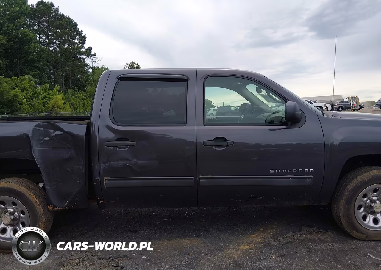 2010 Chevrolet Silverado 1500 Ls VIN:3GCRCREA7AG213366 - 13