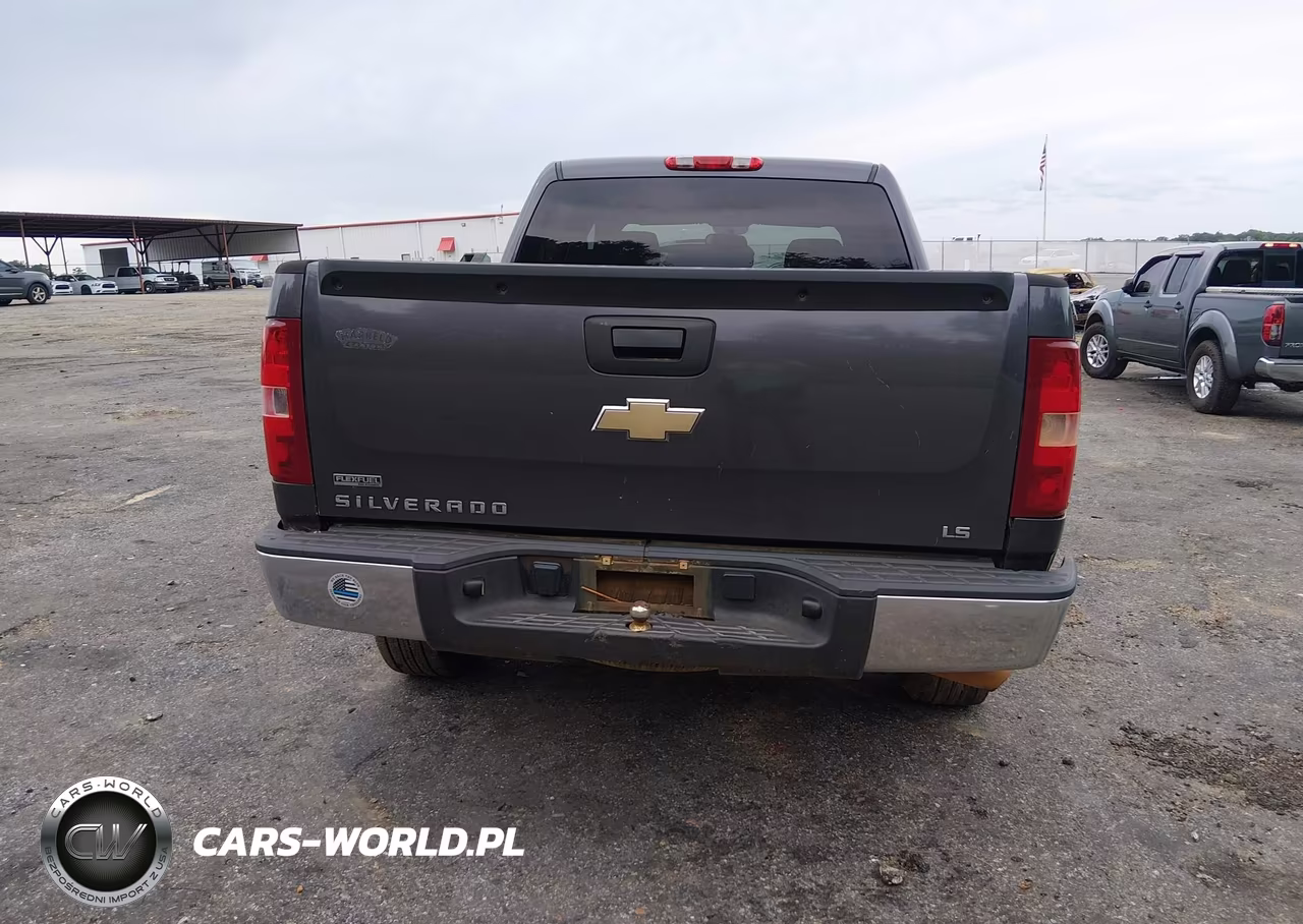 2010 Chevrolet Silverado 1500 Ls VIN:3GCRCREA7AG213366 - 16