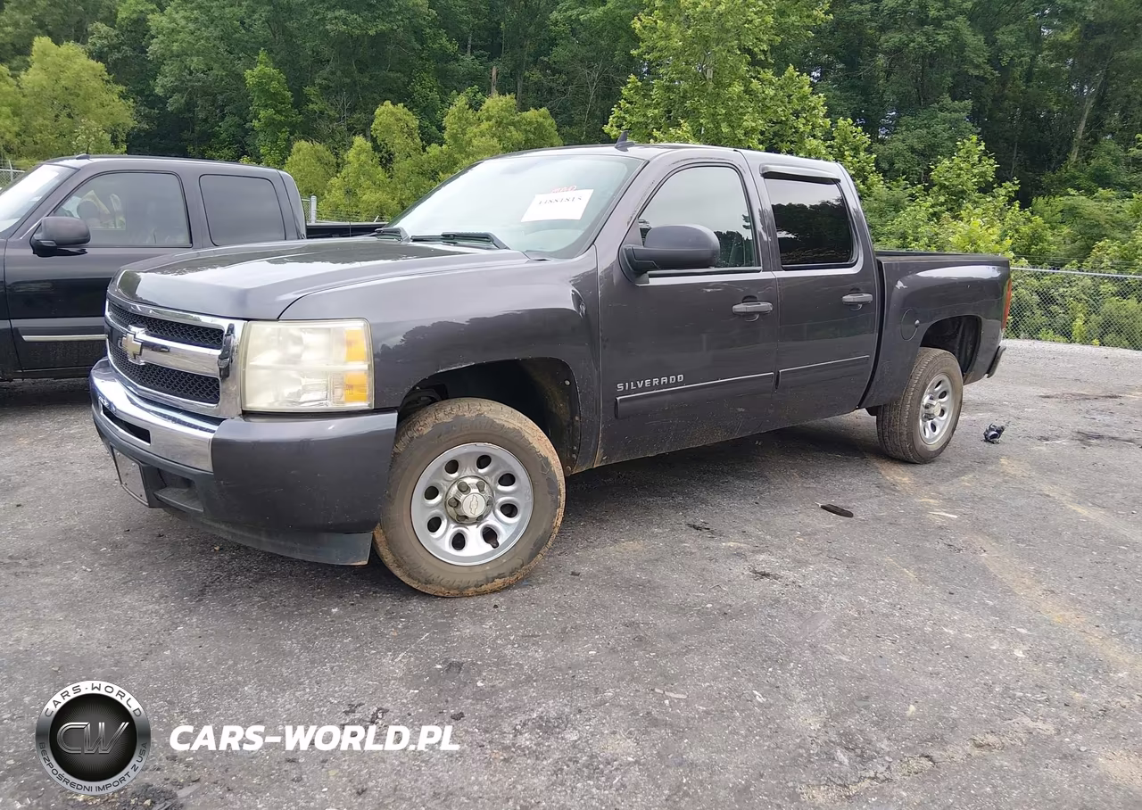 2010 Chevrolet Silverado 1500 Ls VIN:3GCRCREA7AG213366 - 2