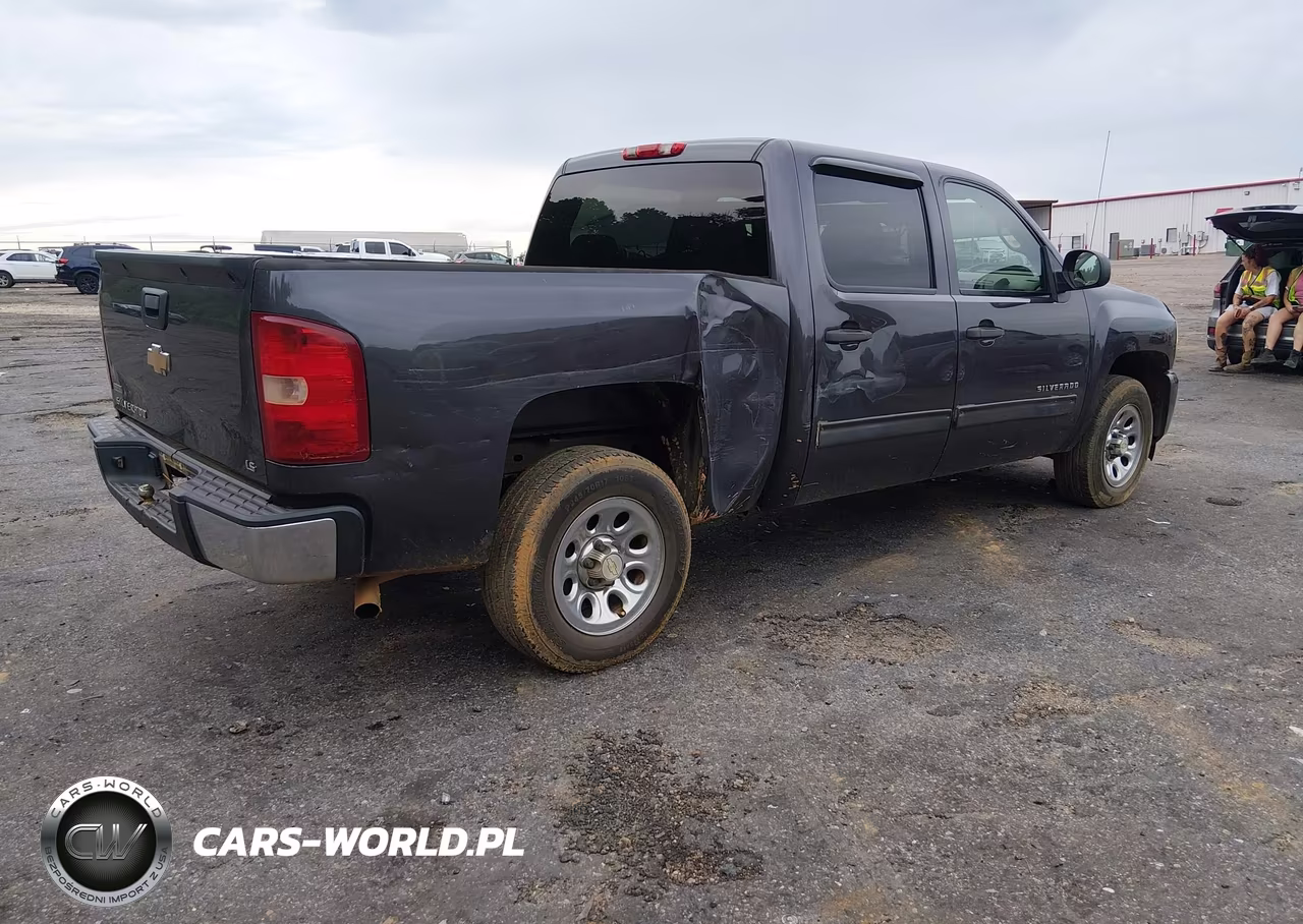 2010 Chevrolet Silverado 1500 Ls VIN:3GCRCREA7AG213366 - 4