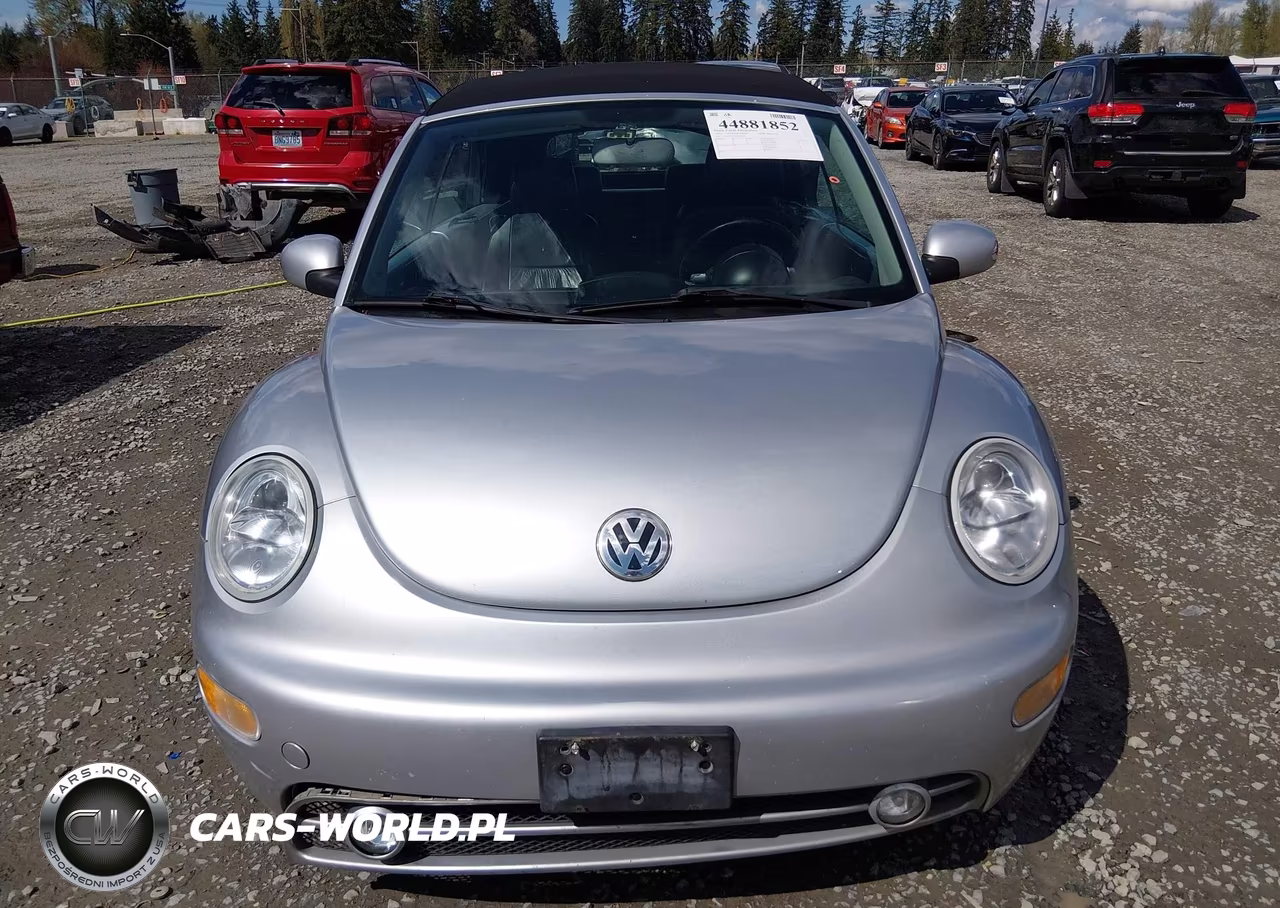 2004 Volkswagen New Beetle Gls 1.8T VIN:3VWCD31Y94M310638 - 12